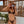 NAOS BIKINI BOTTOM