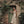AUREA VESTIDO LARGO