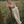 ISLARA PANTALON LARGO