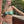 ZELIE TOP BIKINI